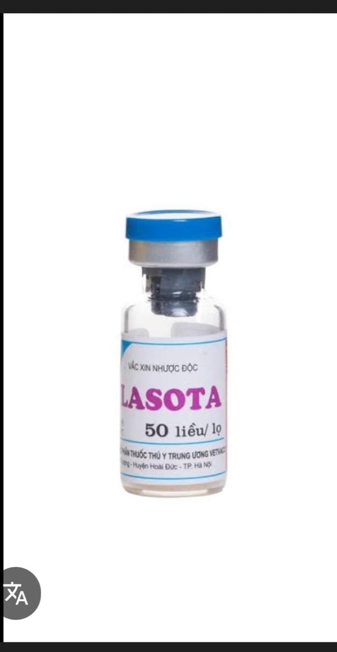 LASOTA 50D
